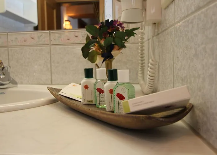 فندق Alpenhof Pitztal 3*